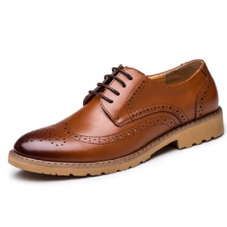 Brogue Carved Business Casual Oxfords Aus Echtem Leder