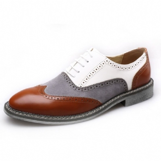 Herren Brogue Colorblock Oxfords Schnürschuhe Business Casual Formelle Schuhe