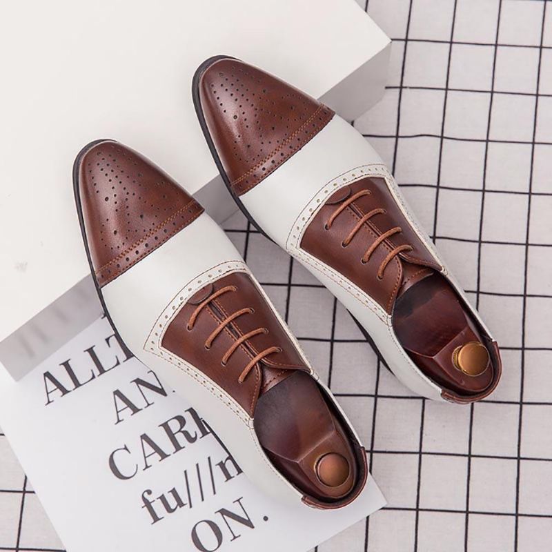 Herren Brogue Geschnitztes Mikrofaserleder Farbnähte Formelle Business-oxfords