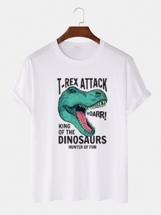 Kurzarm-t-shirts Aus 100 % Baumwolle Mit O-ausschnitt Cartoon-dinosaurier-buchstabendruck Für Herren