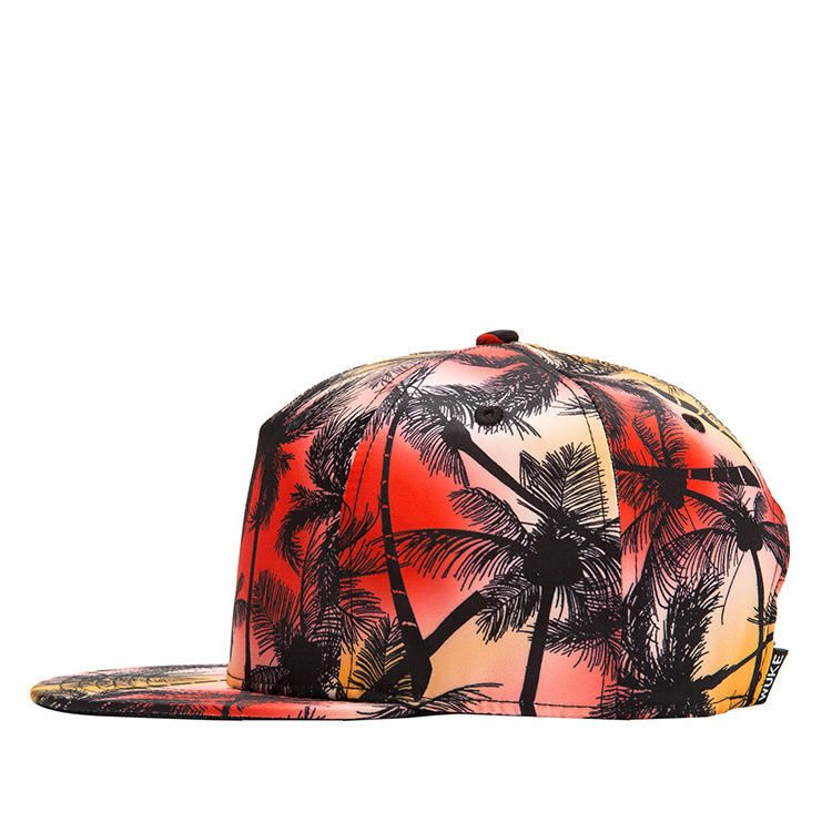 Tropical Wind Coconut Flat Hat Blatt Hip Hop Hat Baseball Cap