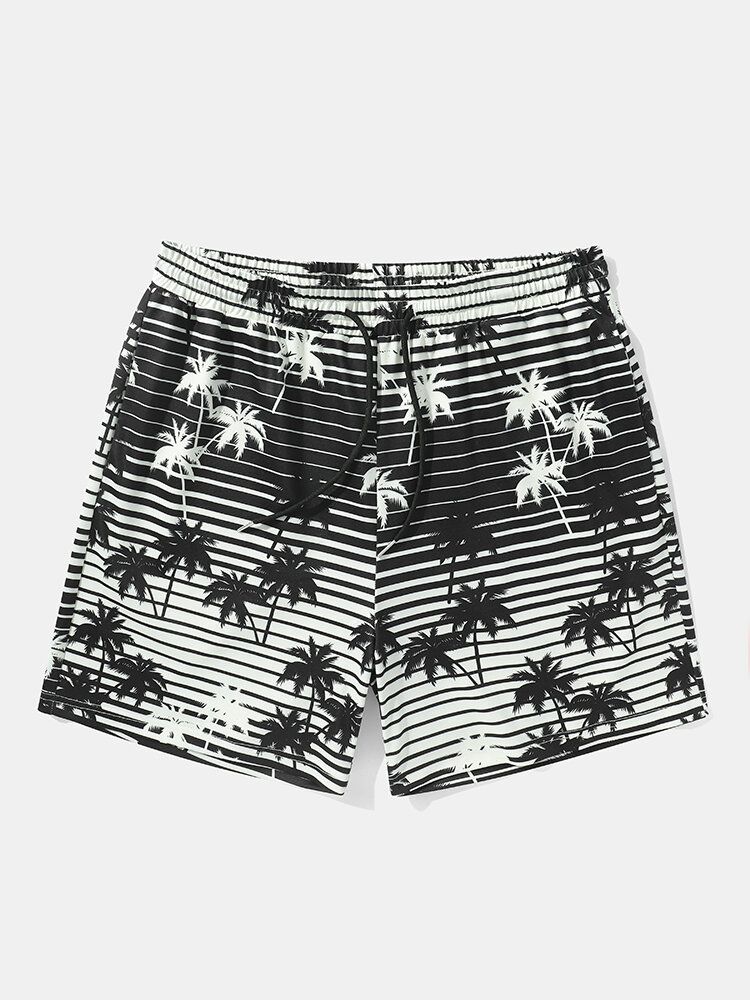 Herren-shorts Mit Lockerem Kordelzug Und Gestreiftem Kokosnussbaum-print