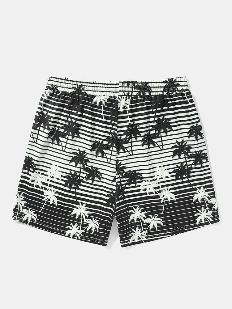 Herren-shorts Mit Lockerem Kordelzug Und Gestreiftem Kokosnussbaum-print