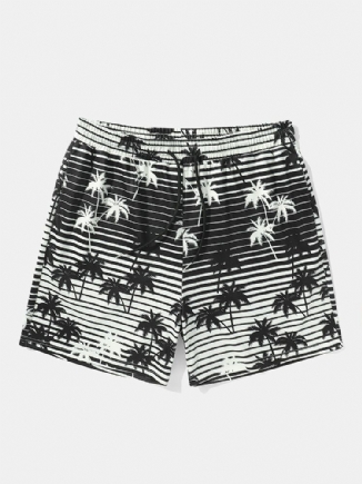 Herren-shorts Mit Lockerem Kordelzug Und Gestreiftem Kokosnussbaum-print